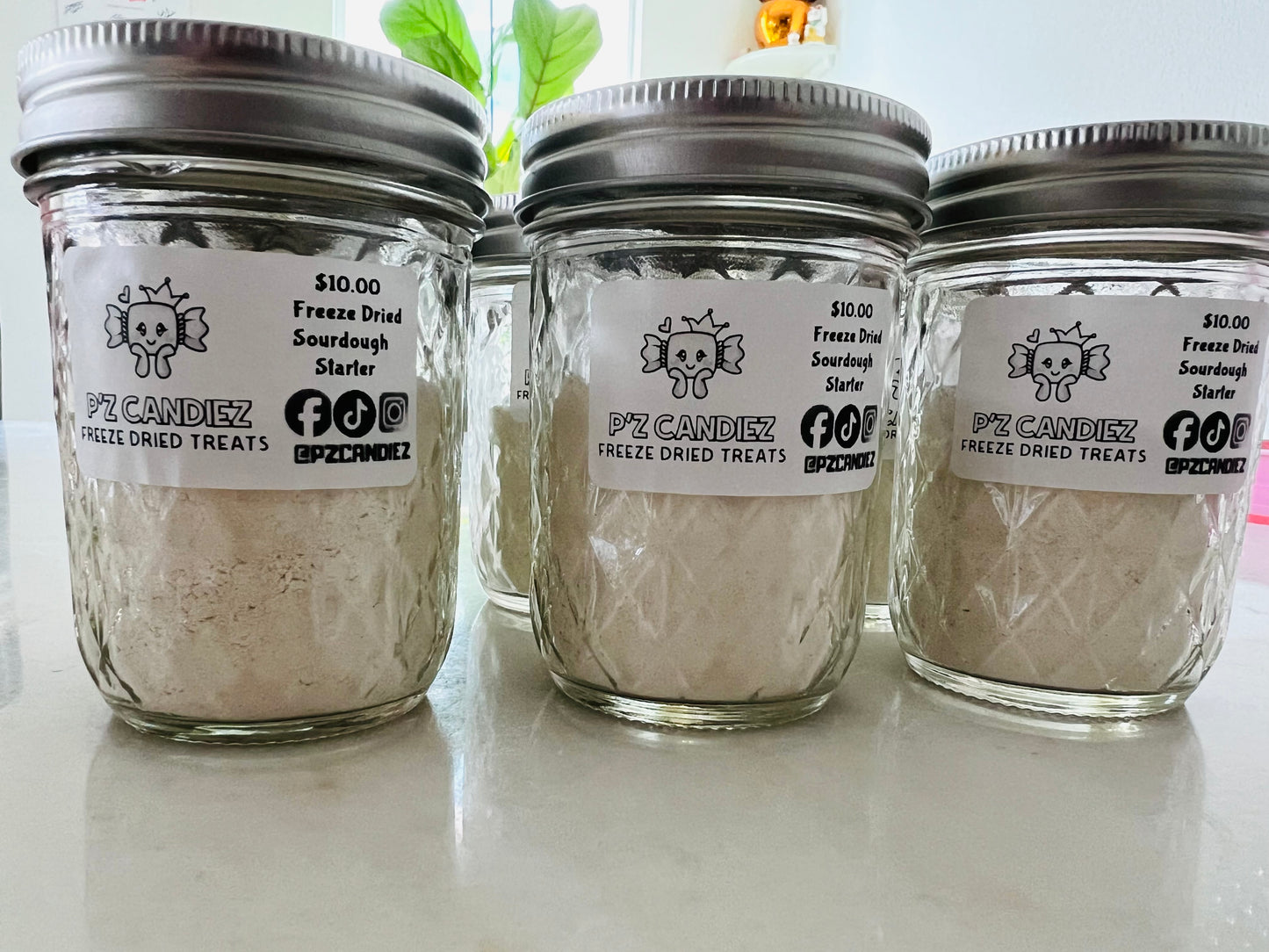 Freeze dried Sourdough Starter