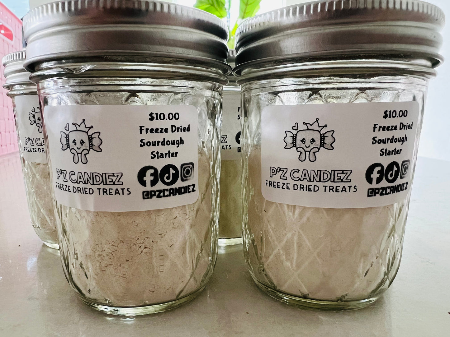 Freeze dried Sourdough Starter