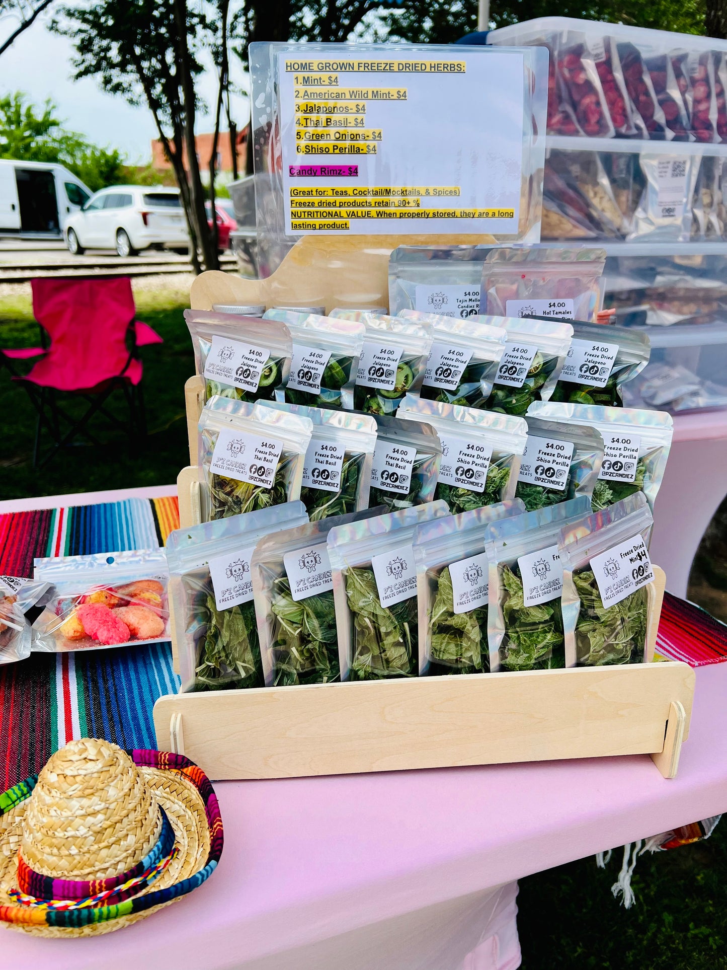 Freeze dried American Wild Mint