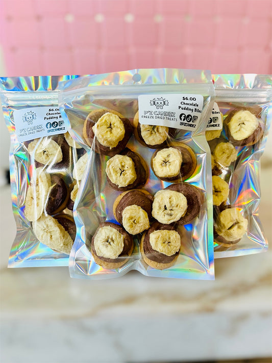 Chocolate Pudding Bites